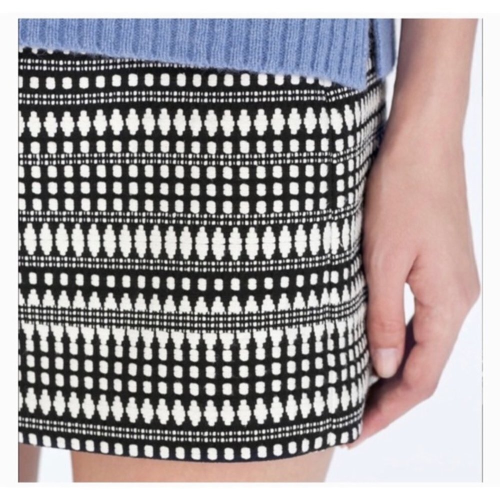 Zara Black and White Jacquard Skirt